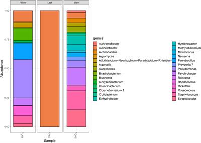 The Cultivable Bacterial Microbiota Associated to the Medicinal Plant Origanum vulgare L.: From Antibiotic Resistance to Growth-Inhibitory Properties